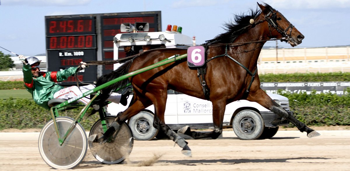 El Caballo Trotador Español